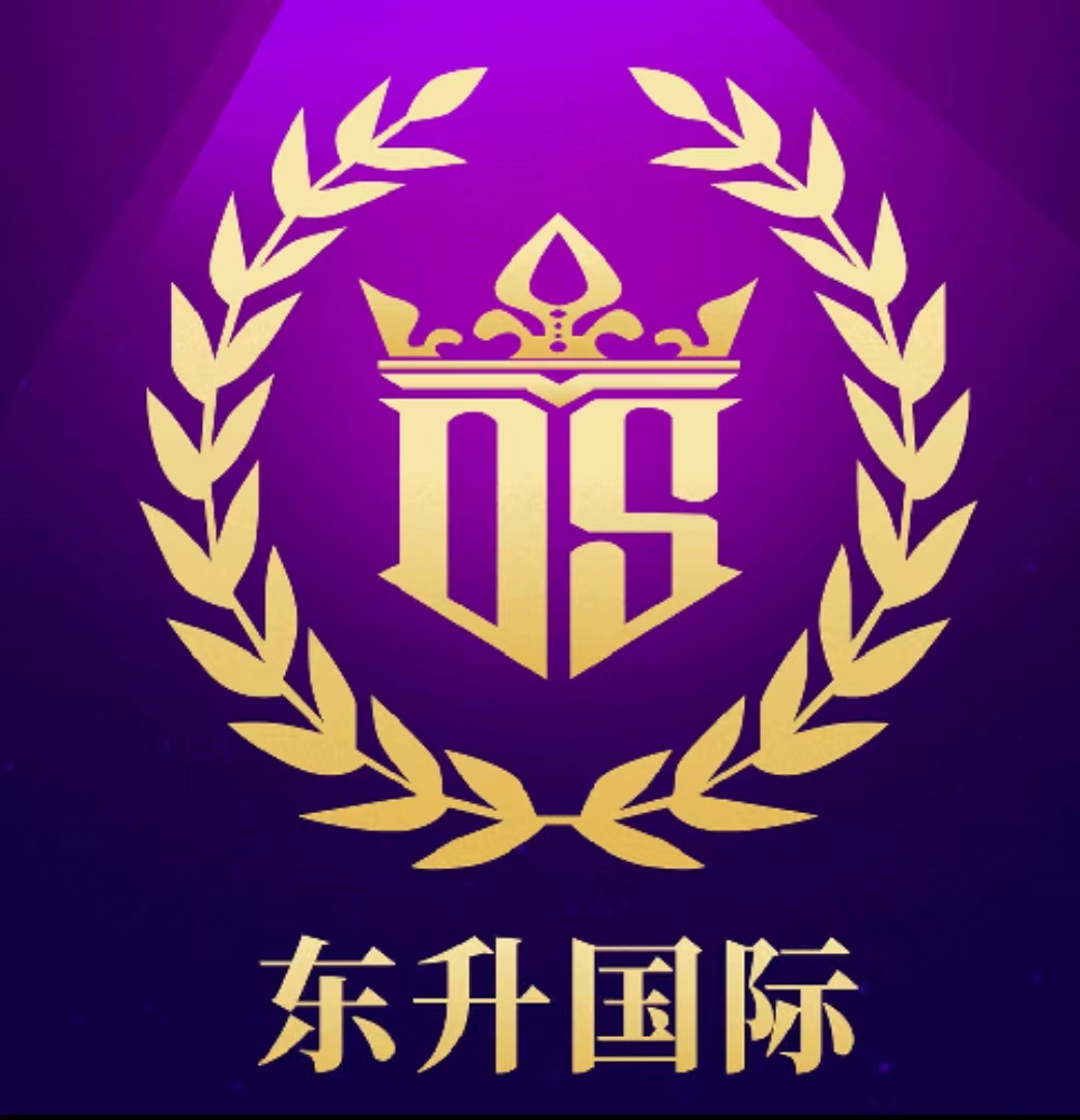 东升国际